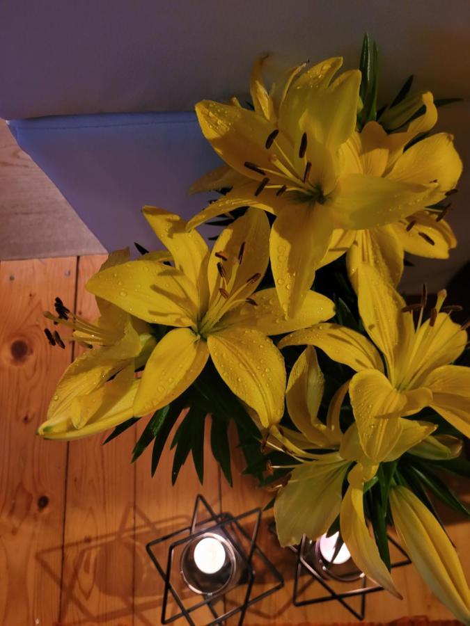 Apartament Lilla イェレニャ・グーラ エクステリア 写真